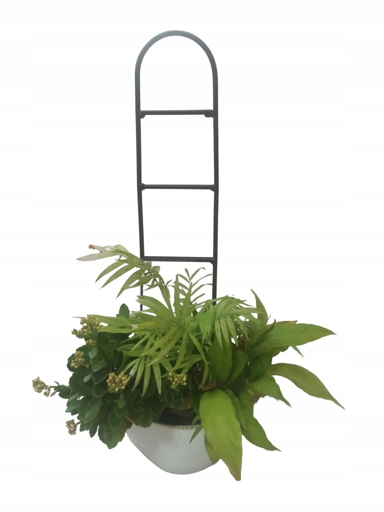 PODPORA PODPÓRKA drabinka 40 cm fi6 DO ROŚLIN KWIATÓW 06 - obrazek 3