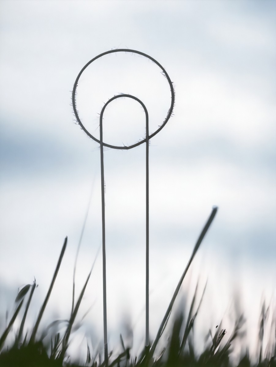 PODPORA PODPÓRKA 60 cm okrąg fi6 DO ROŚLIN KWIATÓW 03 - obrazek 2