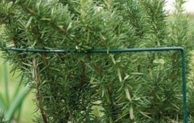 PODPORA podpórka DO ROŚLIN KWIATÓW półokrąg 60 cm fi 6mm - obrazek 5