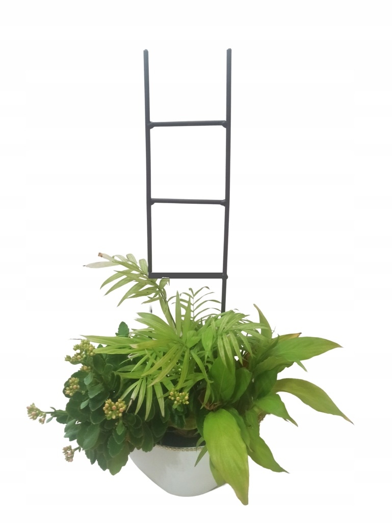 PODPORA PODPÓRKA drabinka 40 cm fi6 DO ROŚLIN KWIATÓW 06 - obrazek 3