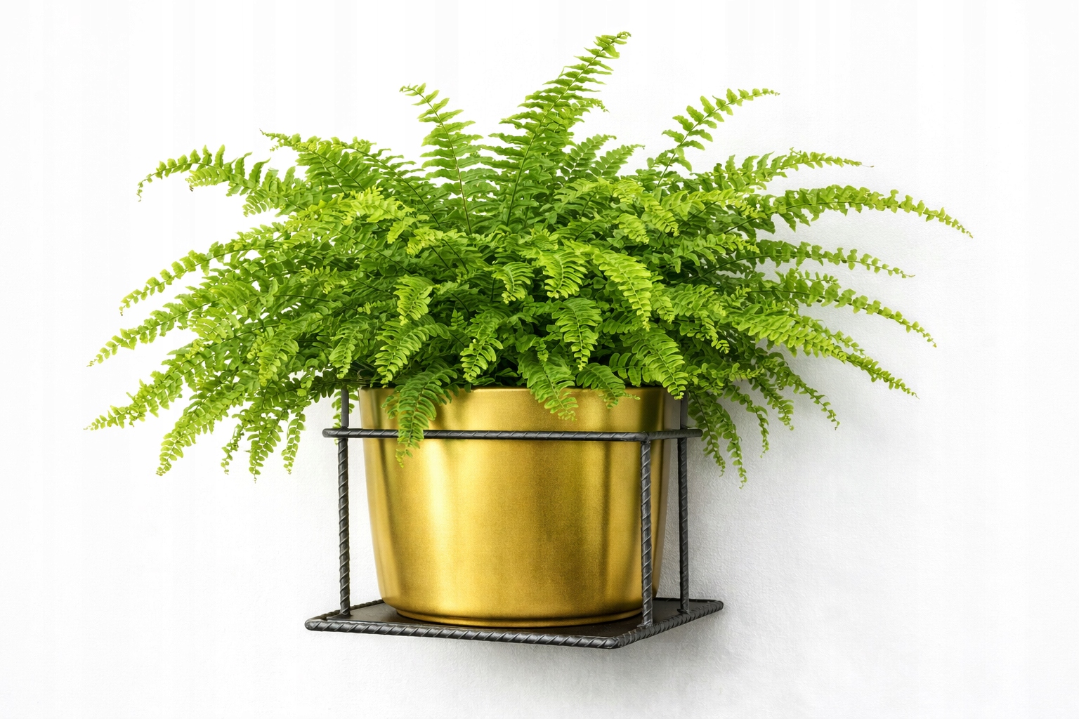 Kwietnik Ścienny Metalowy Czarny Loft Wieszak na Doniczkę 15 cm - obrazek 8