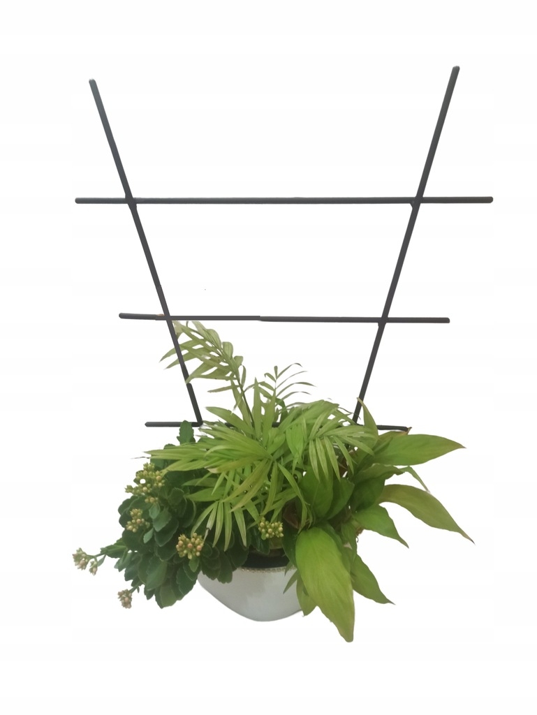 PODPORA PODPÓRKA drabinka 40 cm fi6 DO ROŚLIN KWIATÓW 06 - obrazek 3